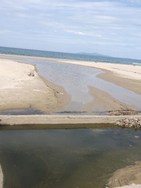 Những bãi biển “bốc mùi” - 1