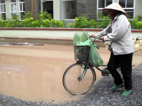 Đường Thủ đô “rùng rợn” như... đường rừng - 7