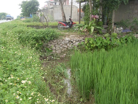 Đâm vào móng nhà, 3 thanh niên tử nạn - 1 Đâm vào móng nhà, 3 thanh niên tử nạn - 1