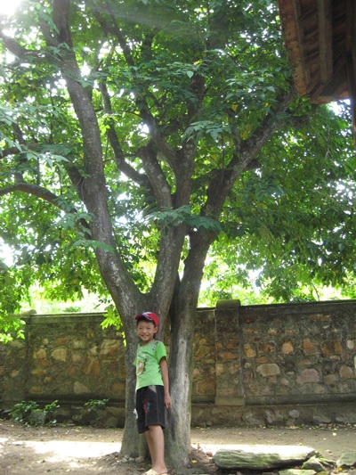 30 năm giữ nhà Đại tướng - 5