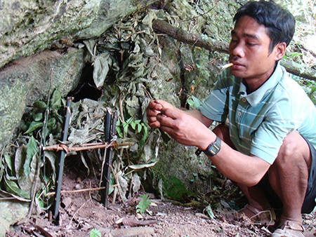 Đi bẫy “chuột tuyệt chủng 11 triệu năm” - 1 Đi bẫy “chuột tuyệt chủng 11 triệu năm” - 1