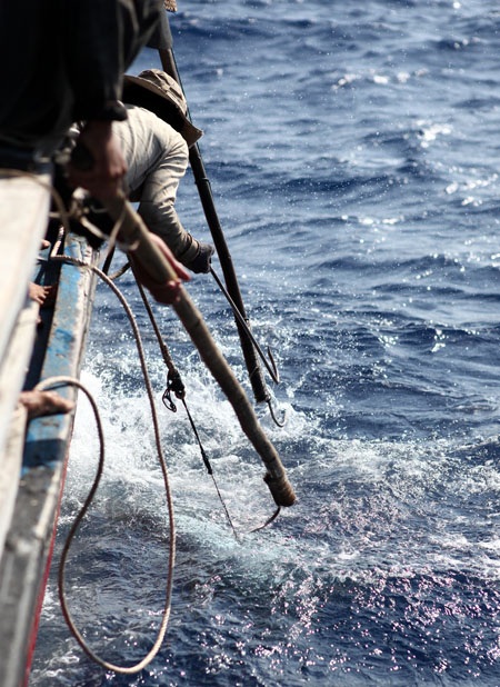 Xem ngư dân miền Trung săn cá mập - 2