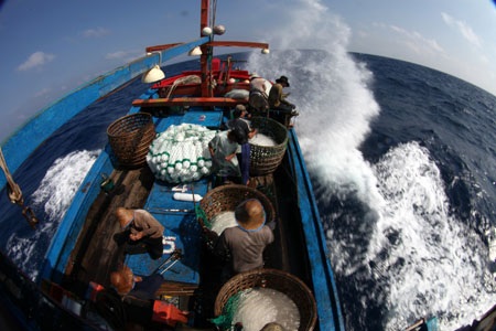 Xem ngư dân miền Trung săn cá mập - 1