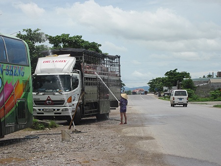 Ngán ngẩm với cảnh tắm lợn trên quốc lộ 1A - 1 Ngán ngẩm với cảnh tắm lợn trên quốc lộ 1A - 1