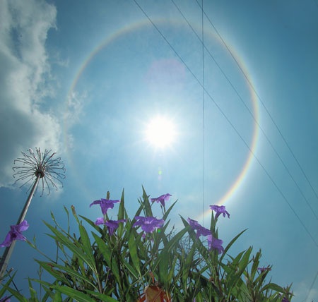 Quầng mặt trời rực rỡ sau những ngày mưa - 3 Quầng mặt trời rực rỡ sau những ngày mưa - 3