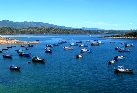 Phú Yên “tiến cử” 2 Di sản nhân loại, 1 Vịnh đẹp thế giới   - 3 Phú Yên “tiến cử” 2 Di sản nhân loại, 1 Vịnh đẹp thế giới   - 3