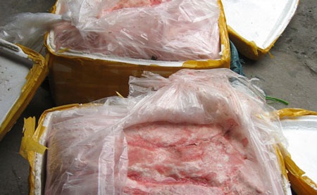 Nầm bẩn đổ về Hà Nội - 1 Nầm bẩn đổ về Hà Nội - 1