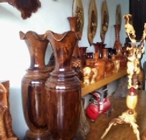 Rừng khóc than vì thú chơi “hàng độc” - 2 Rừng khóc than vì thú chơi “hàng độc” - 2
