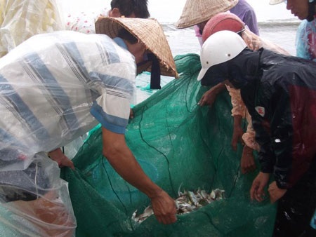 Kéo lưới gần bờ ngày biển động - 3