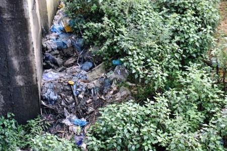 Thác Bạc, thác... rác! - 3