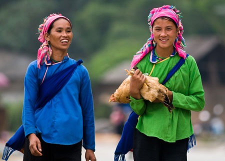 “Bế” gà đi chợ - 1