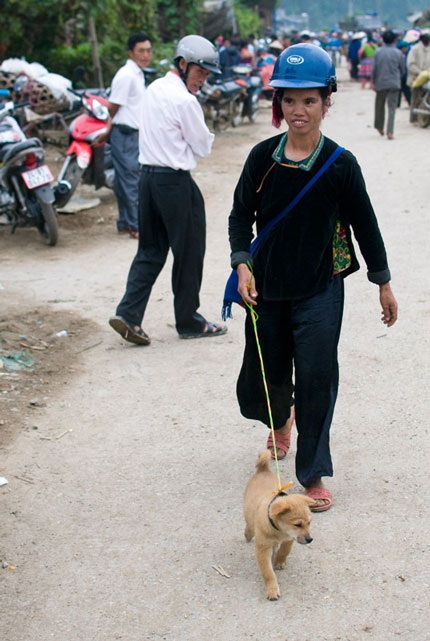 “Bế” gà đi chợ - 6