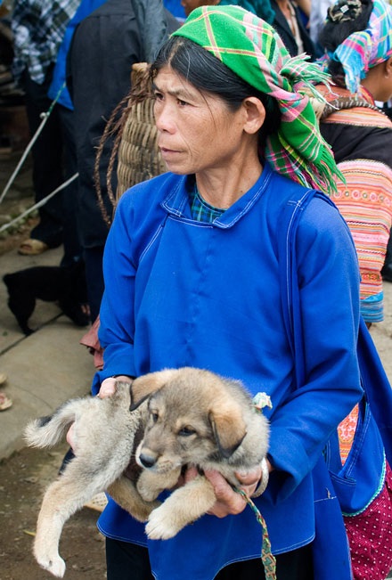 “Bế” gà đi chợ - 7