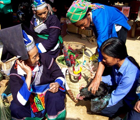 “Bế” gà đi chợ - 2