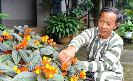 Hai mươi năm trở thành “người vượn”... - 4 Hai mươi năm trở thành “người vượn”... - 4