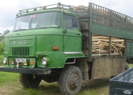 Đối đầu với xe tải, 2 thanh niên tử nạn - 1