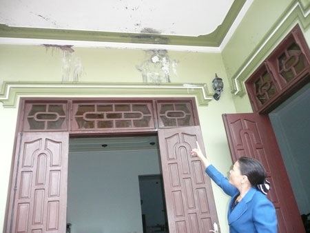 Nữ quản đốc bị kẻ xấu ném “bom thối” vào nhà - 1 Nữ quản đốc bị kẻ xấu ném “bom thối” vào nhà - 1