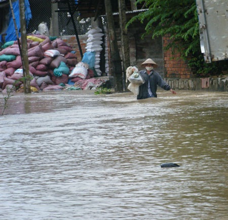 Rùng mình cảnh lũ! - 2 Rùng mình cảnh lũ! - 2