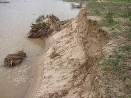 Lũ về lại lo… “cát tặc” - 1
