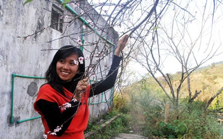 Ngắm hoa đào nở sớm ở Sa Pa - 7