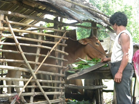 Không đẻ ở Mụ Nằm  - 2