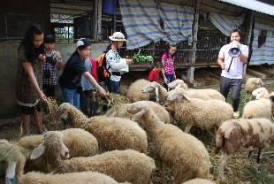 Người uốn nắn những giấc mơ thôn dã - 1