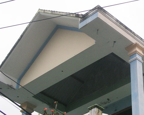 Phát hiện tổ chim “lạ” trên mái nhà - 3 Phát hiện tổ chim “lạ” trên mái nhà - 3