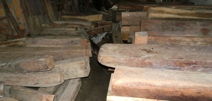 Chủ buôn gỗ lậu chém vào mặt cán bộ kiểm lâm - 2 Chủ buôn gỗ lậu chém vào mặt cán bộ kiểm lâm - 2