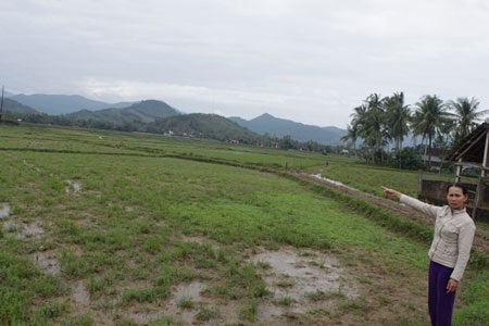 Dân bỏ ruộng hoang vì công ty khai thác vàng gây ô nhiễm - 1 Dân bỏ ruộng hoang vì công ty khai thác vàng gây ô nhiễm - 1