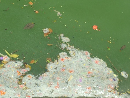 Thăm hồ Gươm trước ngày đón cụ Rùa trở về - 2