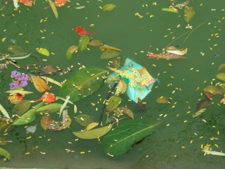 Thăm hồ Gươm trước ngày đón cụ Rùa trở về - 4