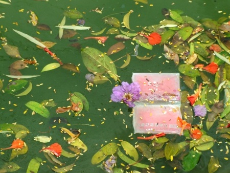 Thăm hồ Gươm trước ngày đón cụ Rùa trở về - 5