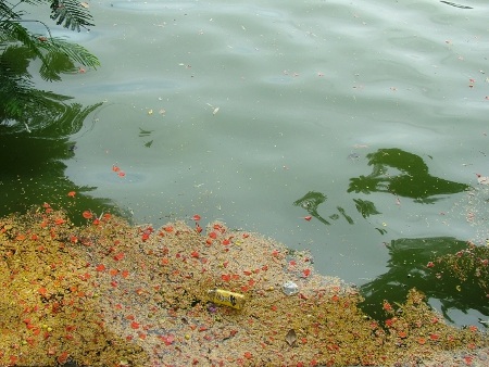 Thăm hồ Gươm trước ngày đón cụ Rùa trở về - 6