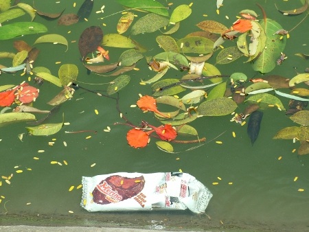 Thăm hồ Gươm trước ngày đón cụ Rùa trở về - 7