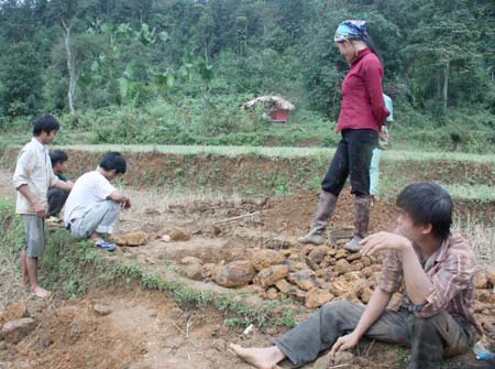 Nhức nhối nạn “lật ruộng” tìm vàng - 1 Nhức nhối nạn “lật ruộng” tìm vàng - 1