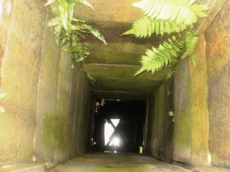 Thêm thông tin thú vị về 6 giếng vuông 300 năm tuổi - 2