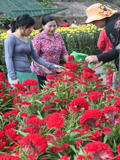 Ít khách mua, người bán hoa cảnh “rảnh mà rầu” - 14 Ít khách mua, người bán hoa cảnh “rảnh mà rầu” - 14