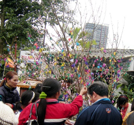 Rùa tai đỏ được bán ngang nhiên tại hội xuân - 2