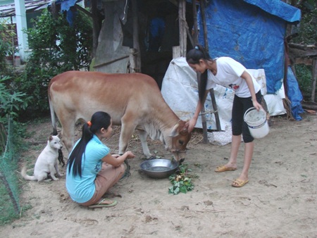Gặp hai chị em nữ sinh quăng xe bắt cướp - 1
