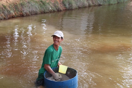 Dân đua nhau phá vườn, đào ao nuôi tôm trái phép - 2 Dân đua nhau phá vườn, đào ao nuôi tôm trái phép - 2