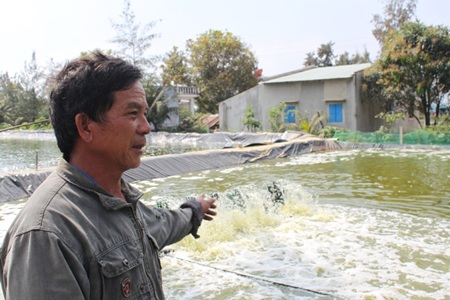 Dân đua nhau phá vườn, đào ao nuôi tôm trái phép - 1 Dân đua nhau phá vườn, đào ao nuôi tôm trái phép - 1