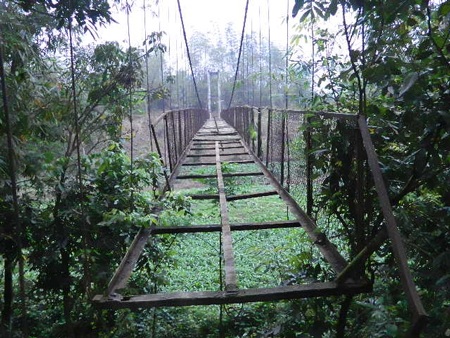 Oái oăm cây cầu hễ đi là… rơi xuống suối