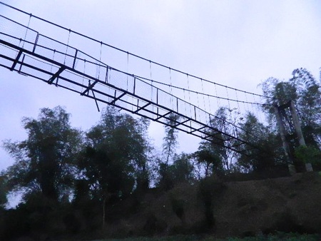 Oái oăm cây cầu hễ đi là… rơi xuống suối