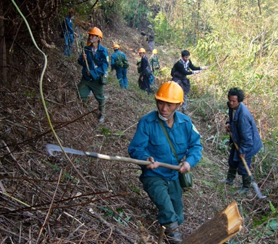 Làm xong 3km đường băng cản lửa vụ cháy rừng quốc gia Hoàng Liên - 2 Làm xong 3km đường băng cản lửa vụ cháy rừng quốc gia Hoàng Liên