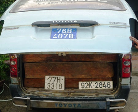 Xe biển xanh giả chở gỗ lậu - 1 Xe biển xanh giả chở gỗ lậu