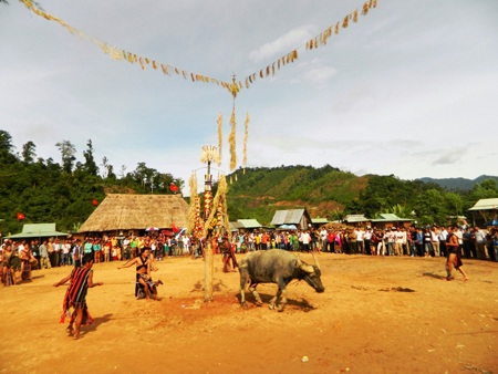 Những làng mới “mọc” trên… đất cũ