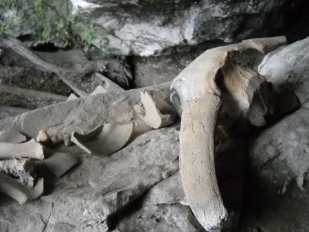 Hang động chứa nhiều quan tài cổ treo trên vách núi