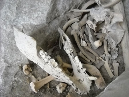 Hang động chứa nhiều quan tài cổ treo trên vách núi