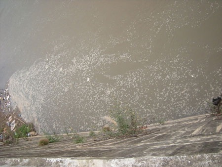 Sông Hồng lại sủi bọt và bốc mùi khác thường - 1 Sông Hồng lại sủi bọt và bốc mùi khác thường