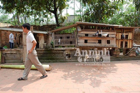 Mê muội làm trò áp vong, bắt ma, một người chết tức tưởi - 3 Mê muội làm trò áp vong, bắt ma, một người chết tức tưởi